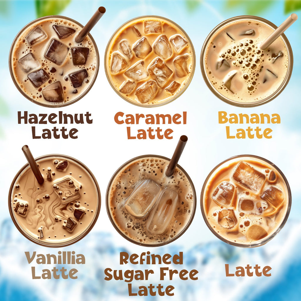 Iced Coffee Variety Pack – 12 Instant Sticks, 6 Flavors
