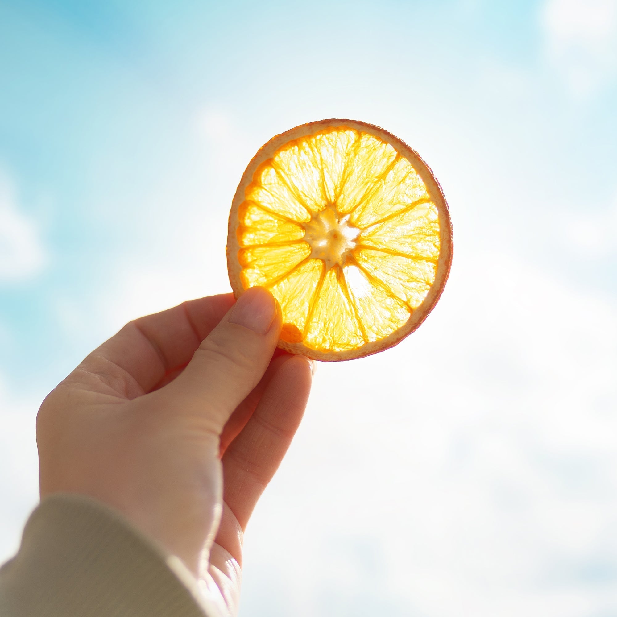 Dried Orange Slices for Cocktail Garnish