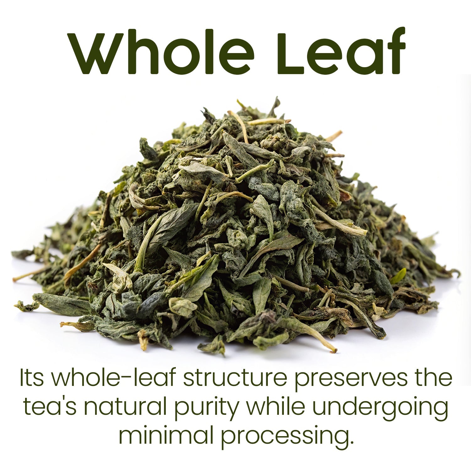 Whole Leaf Nettle Tea 2.5 Oz
