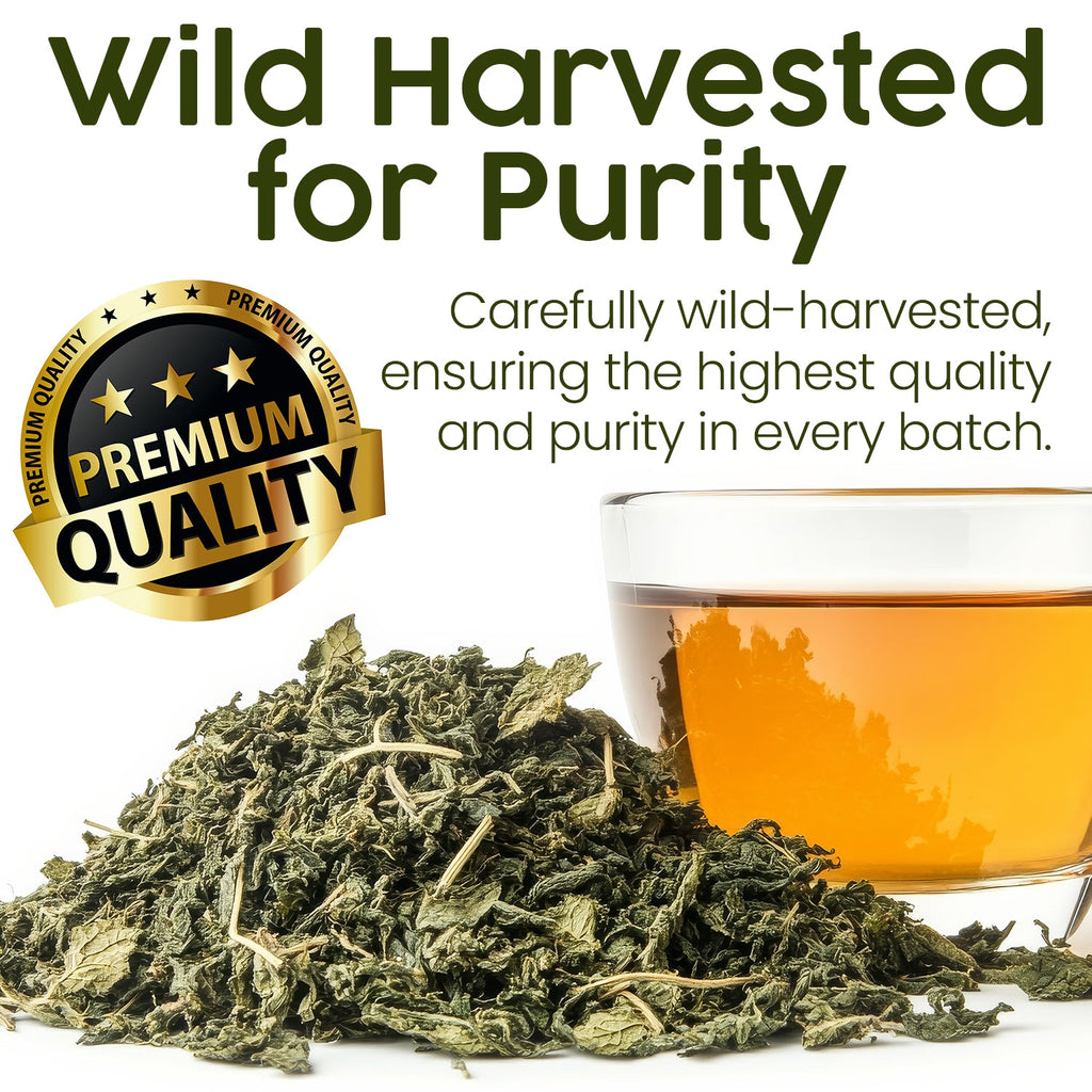 Whole Leaf Nettle Tea 2.5 Oz