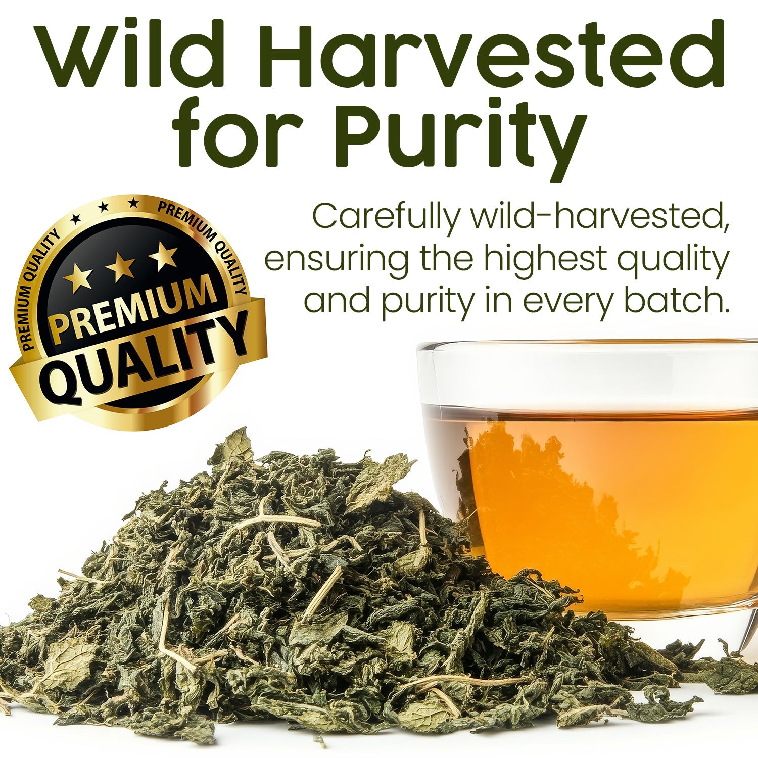 Whole Leaf Nettle Tea 2.5 Oz